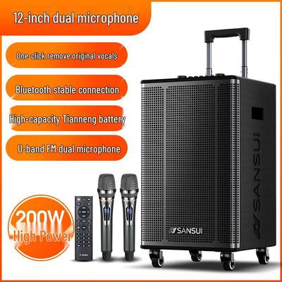 Портативная уличная караоке-колонка SANSUI E15 с 12-дюймовым басом и двумя микрофонами, штекер CN (адаптер в комплекте)