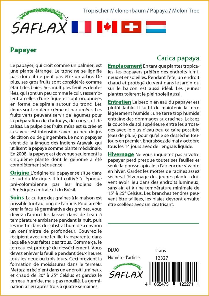 SAFLAX Дынное дерево - 30 семян - Carica papaya