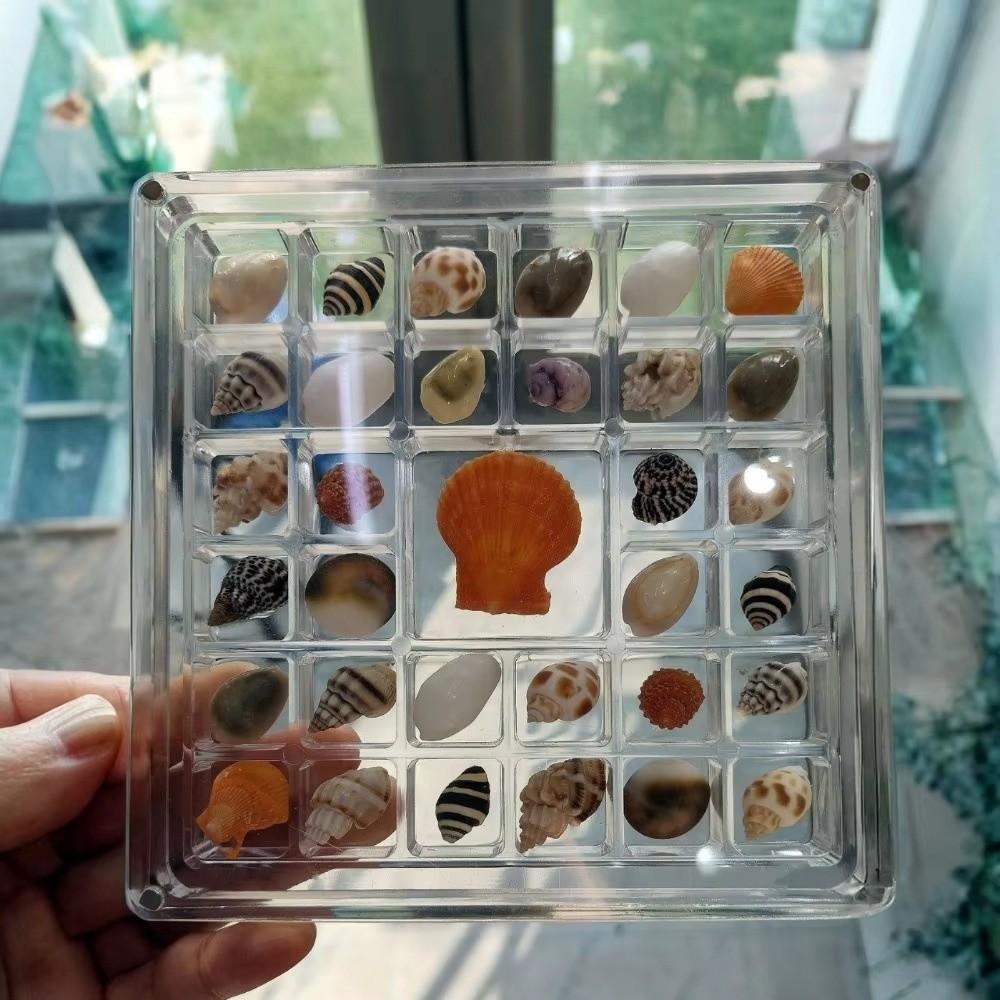36/64/100 Grids Display Box Acrylic Organizer Box New Storage Containers Gems Display