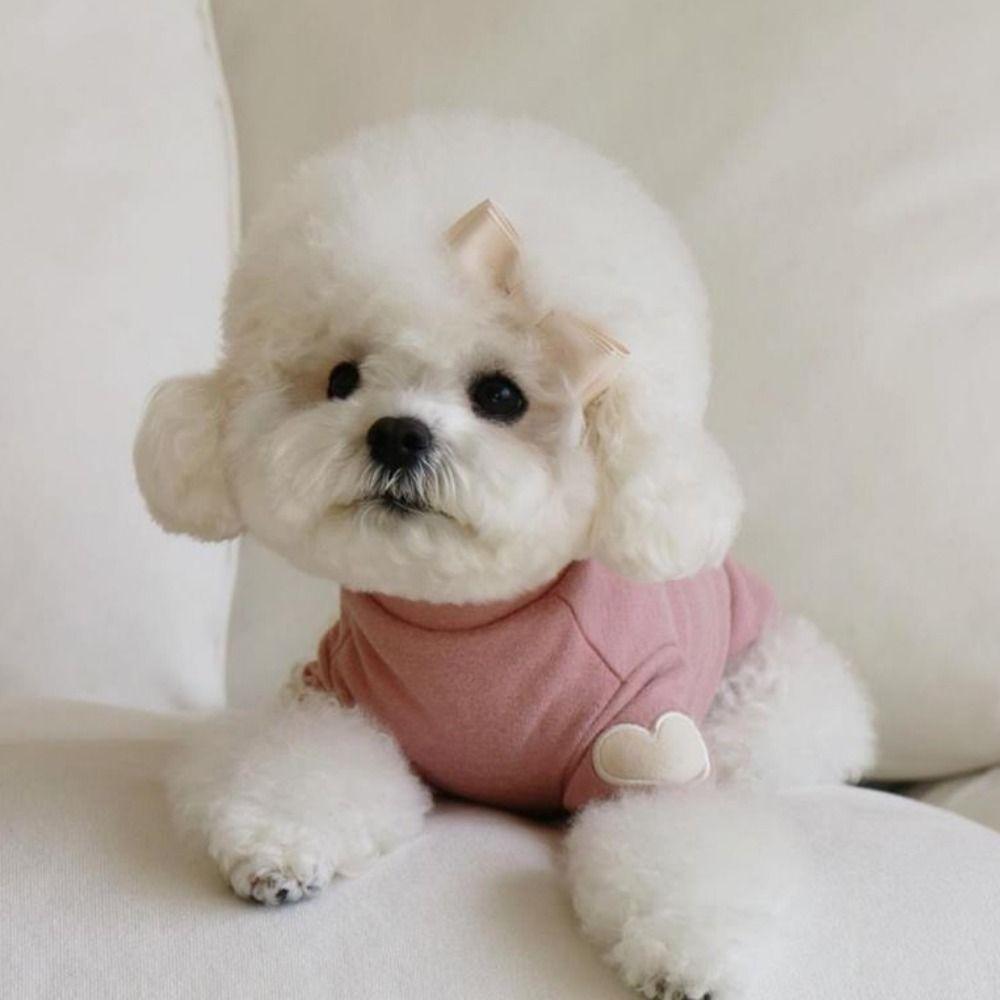 Теплая базовая футболка для собак с узором «Любовь», зимняя одежда для щенков, одежда для собак на двух лапах, для собак, щенков, кошек