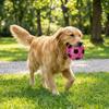 Colorful Dog Chew Ball Elastic TPR Spiky Massage Ball Funny Squeaky Dog Toy  Chasing Game