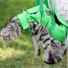 Anti-scratch Bite Fixed Pet Backpack Foldable Cat Travel Bag  Summer Outing