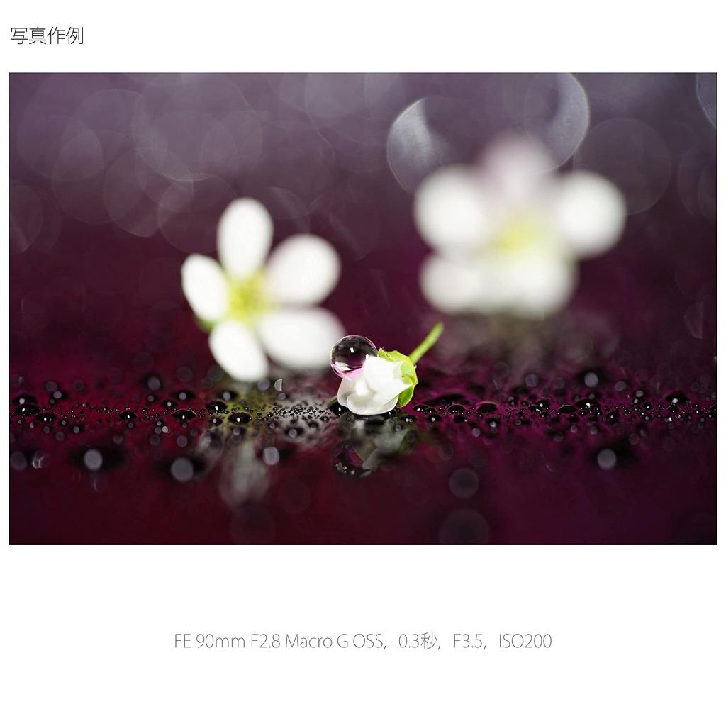 Sony Macro Full Size FE 90mm Macro G OSS G Lens for Digital Single Lens Camera Genuine Lens SEL90M28G F2.8 [E Mount]