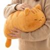 Большая плюшевая игрушка-кот оранжевого цвета Кавайная плюшевая киска Подушка-плед Мягкая плюшевая кукла-кот Игрушка Декор для дома Подарок на день рождения для друзей