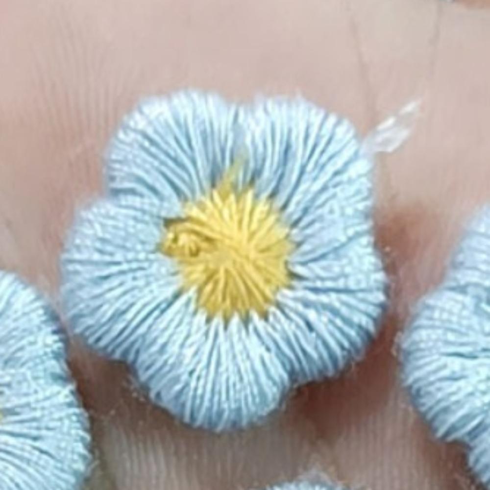 50 шт./лот 1,5 см мини-цветочные аппликации подсолнечник наклеивающиеся нашивки материалы для дизайна одежды