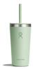 All Around Tumbler with Straw Lid, 20oz (591ml), Stainless Steel, Aloe Vera, Insulated, for Hot or Cold Drinks (Official Japanese Product)