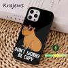 Милый C-Капибара F-Забавный Чехол для Телефона Для iPhone 16,15,14,13,12,11,Pro,Max,Plus,Mini, Magsafe,Магнитный Чехол для Беспроводной Зарядки