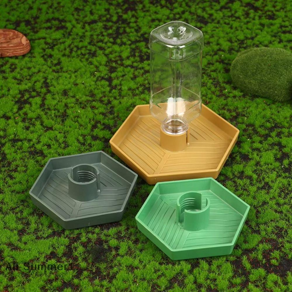 Stable Turtle Water Bowl Anti-slip Automatic Water Dispenser Lizard Food Feeder for Amphibians