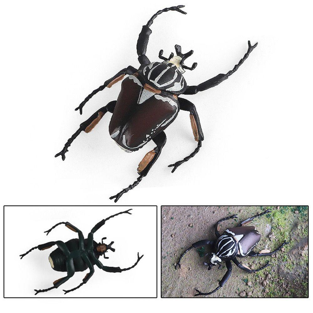 Realistic Beetle Action Figures Wild Insect Lifelike Insect Figurines Desktop Ornament