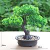 Artificial Flower Bonsai Green Plant Zen Simulated Tree Pine Potted Flower Pot Desktop Decoration Fengshui Decor Plant Viewing