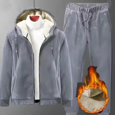 Зимние спортивные костюмы, комплекты, теплые, с толстым флисом, брюки-джоггеры, наряды, повседневные женские плюшевые толстовки с капюшоном