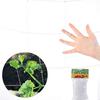 Garden Plant Climbing Net Fence Trellis Netting Support Climbing Creeper Tool