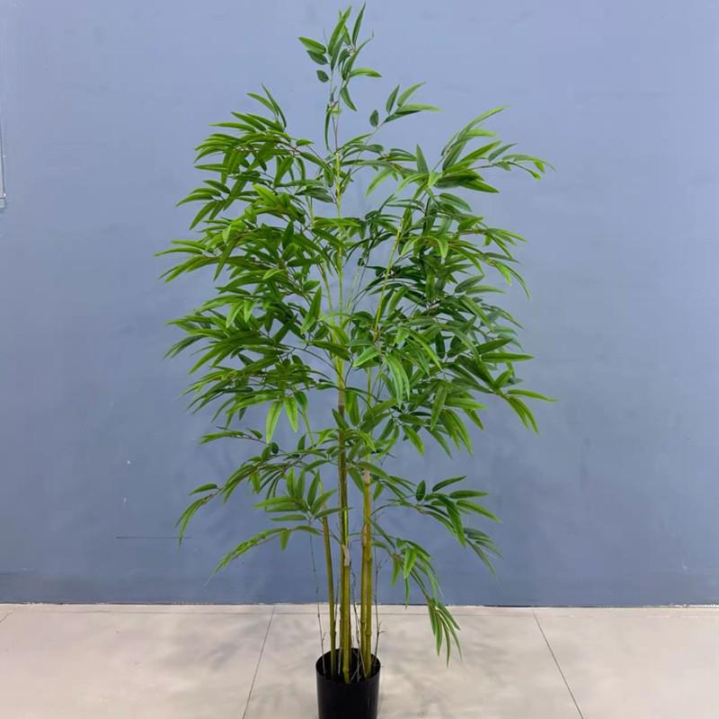 Zen Bamboo Bonsai Decor: Green Bamboo Plant for Home, Office, or Shop. Perfect for Living Room or Entryway.