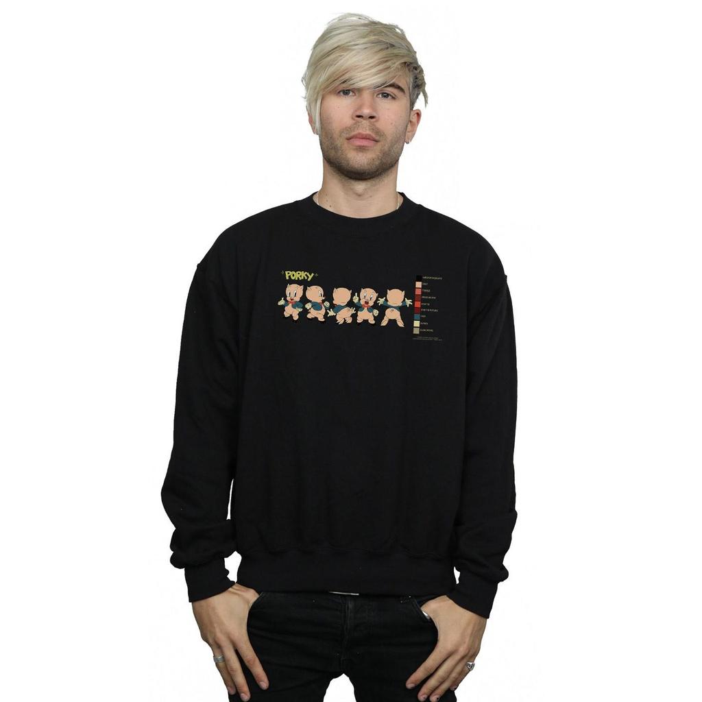 Looney Tunes Mens Porky Pig Colour Code Sweatshirt
