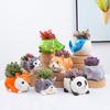 Cute Animal Flower Pot Succulent Pot Ceramics Planter Home Decor Desktop Ornaments Bonsai Plant Pot Garden Decoration