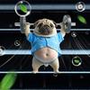 Cute Weightlifting Puppy Acrylic Car Decoration Aromatherapy Clip Car Supplies Decoration