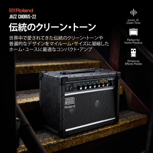 Roland/JC-22 Roland Guitar Amplifier with Jazz Chorus, 30W