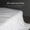 MUJI Class A 100% Tussah Silk All-Season Duvet
