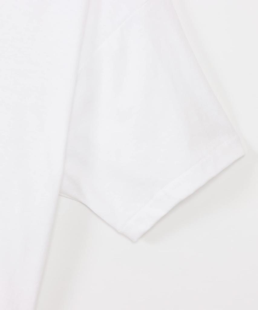 Hanes Short Sleeve Round Quick Dry Blue Size L Men's T-Shirts (3-Pack) - Body, Drying, Feel, Label, V-Neck T-Shirt, HM2125G, White,