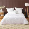 Luolai Antibacterial Winter Fiber Duvet