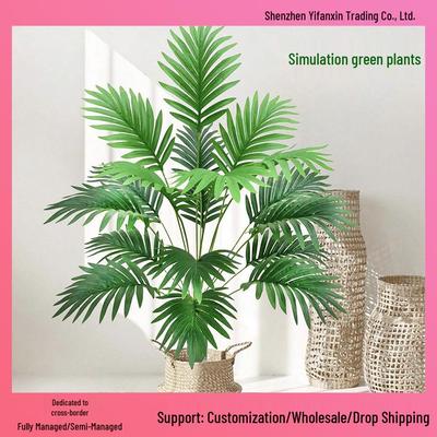 Растение Арека Пальма для Элегантного Украшения Интерьера/Экстерьера