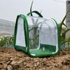 Insect Cage Full Transparent Observation Critter Cage Portable Folding Breeding Insect Cage