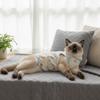 High Elasticity Cat Sterilization Suit Breathable Pet Anti-Licking Vest  Pet Estrus Period