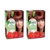 Henna Hair Color - Burgundy Pack of 2 - Vatika Naturals - Bordeaux 3.6 Colour