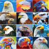 New 5D DIY Diamond Painting Eagle Head Diamond Embroidery Animal Cross Stitch Full Round Drill Home Decor Manual Art Gift