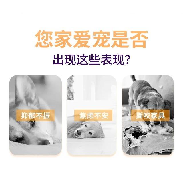 Dog Training Sniffing Pad Slow Feeding Leak Food Puzzle Toy Benefits Pet Intelligence Stimulation Stress Relief Home Pet Product