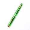 Pelikan Перьевая ручка Pelikan Special Edition Souveraine M800 Green Demonstrator EF