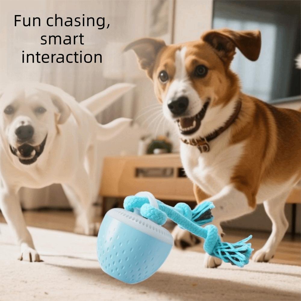 Bite Resistant Smart Pet Toy Ball USB Charging 3 Modes Automatic Moving Ball Electronic Random Path Interactive Dog Toy Ball