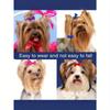 10pcs/100pcs Random Pet Hair Accessories & Hair Ties, Cute & No Damage, Suitable For Decorating Cats & Dogs
