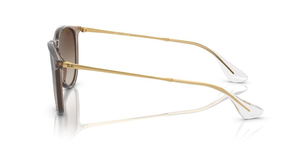 Солнцезащитные очки RB4171F ERIKA Азиатская посадка Ray-Ban