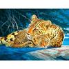 5D Diy Daimond Painting Full Round Rhinestones Diamant Painting Embroidery "Gold Leopard