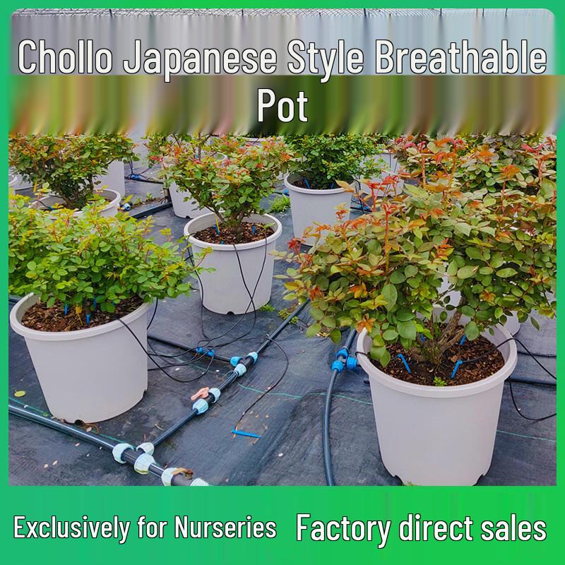 Yuzhuxun HC Deep Root Rose Planter Set