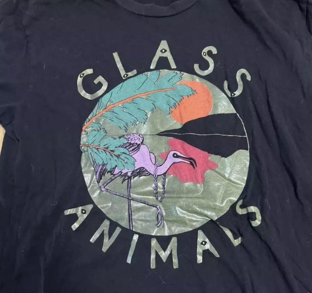 Glass Animals Gift For Friends Black T-Shirt Cotton All Size