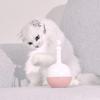 Игрушки для кошек Лакомство-дозатор Забавные Развлекательные Дразнилки для кошек Для котят Питомцы Кошки Время игры В помещении Энергозатратные Упражнения Тренировки Дом