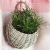 1 Set Plant Basket Handmade Weaving Multi-Function Rattan Wall Fence Hanging Pot Plants Holder for Garden