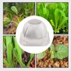 20 шт. садовых колпаков для растений защита от заморозков на заднем дворе колпаки для растений