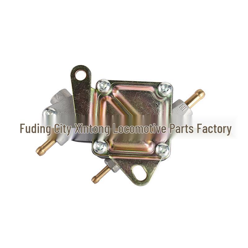 Cross-Country 400 ATV Scooter Fuel Pump: Forest Sea 300/Beach Car ATV260 Compatible