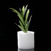 50 pcs Harmless Natural Hydroponic Vegetable Soilless cultivation Gardening Tools Planted Sponge