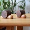 Walnut Snail Coasters Set Wood Cup Mat Placemats Heat-Resistant Drink Pads for Tea Coffee Mugs Natural Wood Grain Home Decor