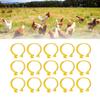 100Pcs Plastic Duck Leg Bands Reusable Chickens Leg Rings  Tracking Different Breeds