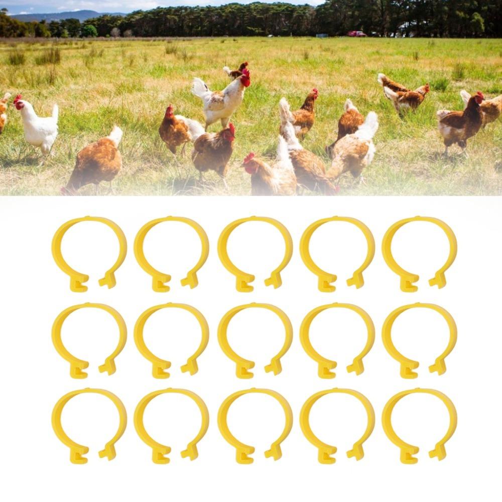 100Pcs Plastic Duck Leg Bands Reusable Chickens Leg Rings Tracking Different Breeds