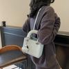 New Summer Small Bag Women's Versatile Shoulder Messenger Bag Niche Design Portable Princess Diana Bag