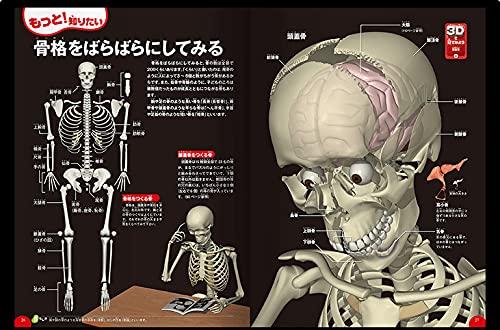 [DVD в комплекте] Человеческое тело (Иллюстрированная книга Gakken LIVE) Иллюстрированная книга для детей от 3 лет до учеников начальной школы