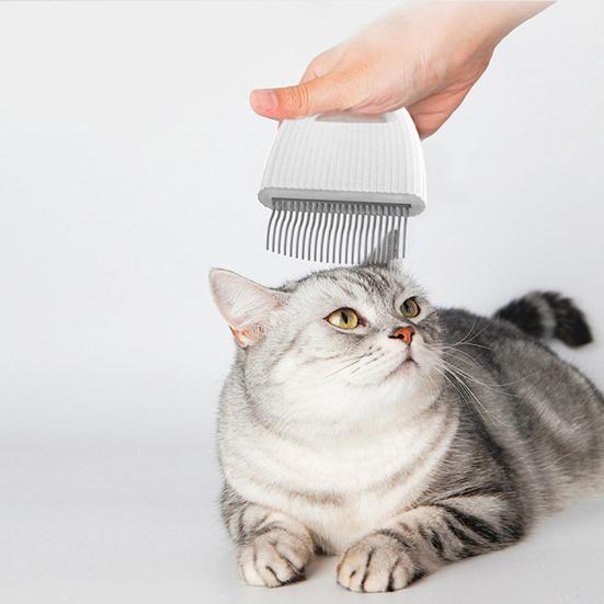 Cat Grooming Brush Easily Clean Ergonomics Handle Comfortable Cat Massage Comb Short