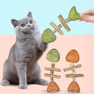 3 шт. Натуральные палочки для жевания кошек Форма косточки Рыбы Игрушка из серебристой лозы и кошачьей мяты Инструмент для ухода за зубами кошек для здоровья зубов Очистка зубов