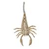 Skeleton Model Halloween Animal Skeleton Bat Mouse Lizard Scorpion Halloween Bats Skeleton   Home